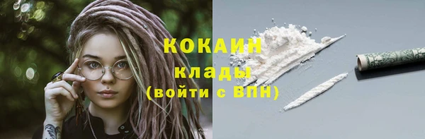 тгк Алексин