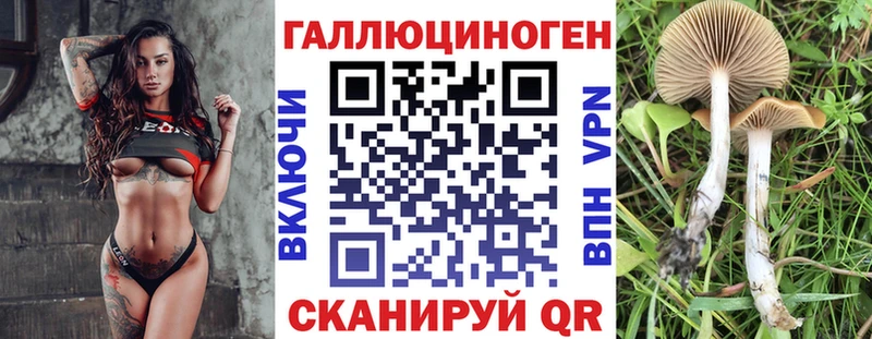 mega ONION  Боровичи  Галлюциногенные грибы Psilocybine cubensis  цена  